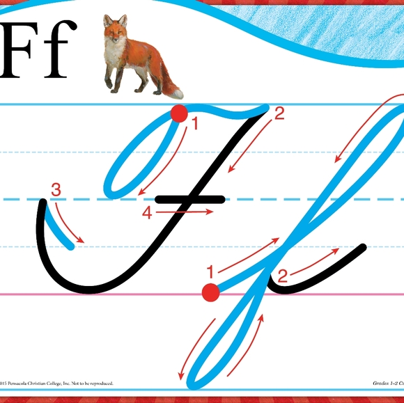 NEW Abeka Large Cursive Formation Flashcards, Grades 1-2 - Picture 5 of 7